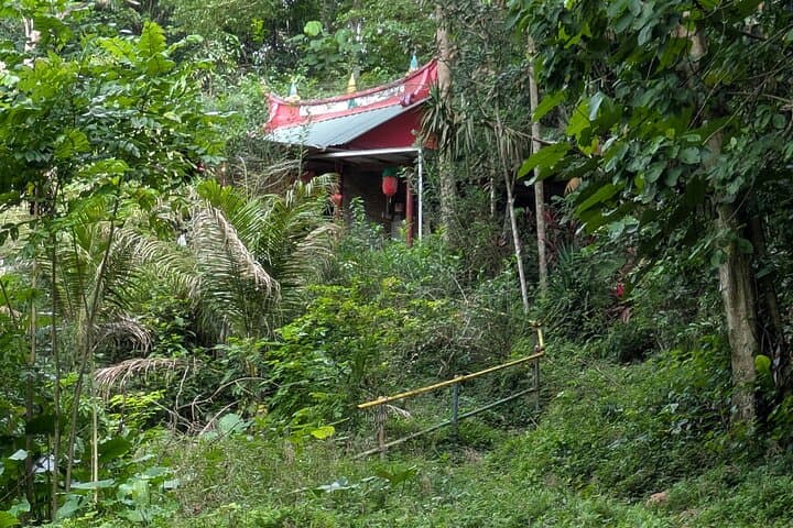 Bukit Brown to MacRitchie: Jungle and Heritage Walk in Singapore photo 5