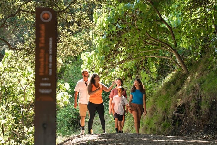 Waka Ama to Mauao: Guided Paddling and Mount Maunganui Walk photo 3