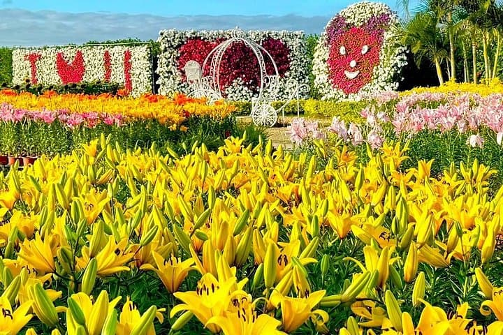 Taichung Day Tour: Gaomei Wetlands, Rainbow Village & Miyahara from Ximending photo 2