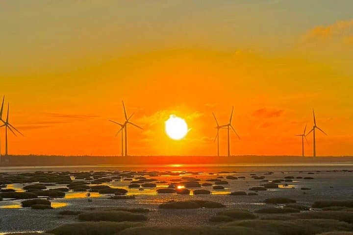 Taichung Day Tour: Gaomei Wetlands, Rainbow Village & Miyahara from Ximending