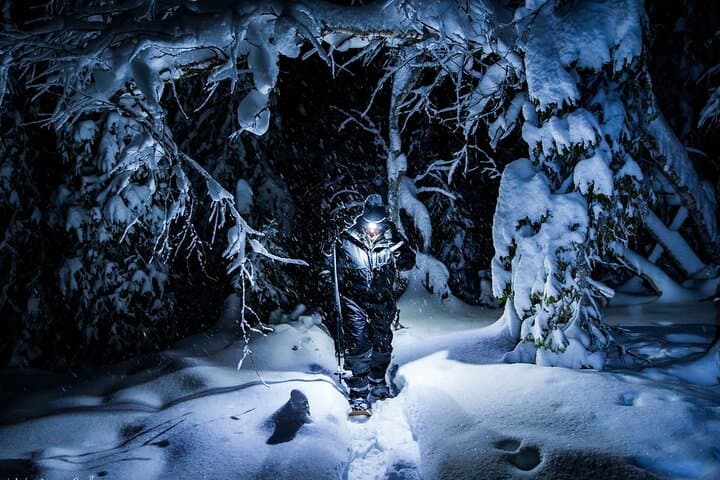 Night Star Walk on Snowshoes in the Finnish Wilderness — Levi Aurora & Stargazing photo 2