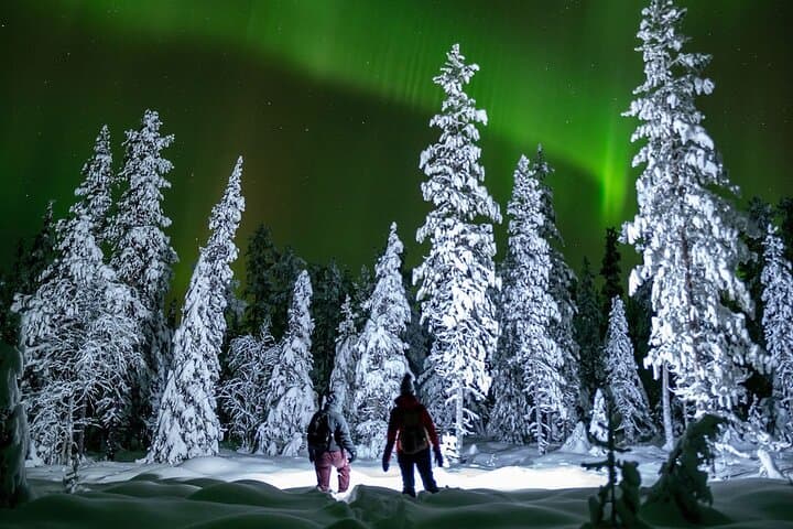 Night Star Walk on Snowshoes in the Finnish Wilderness — Levi Aurora & Stargazing photo 3