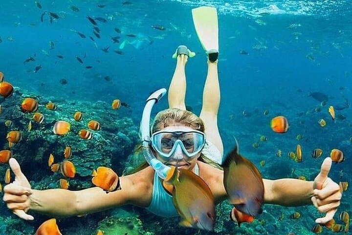 Blue Lagoon Bali Snorkeling: Private Full-Day Tour with Lunch