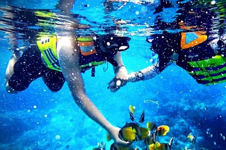Blue Lagoon Bali Snorkeling: Private Full-Day Tour with Lunch photo 3