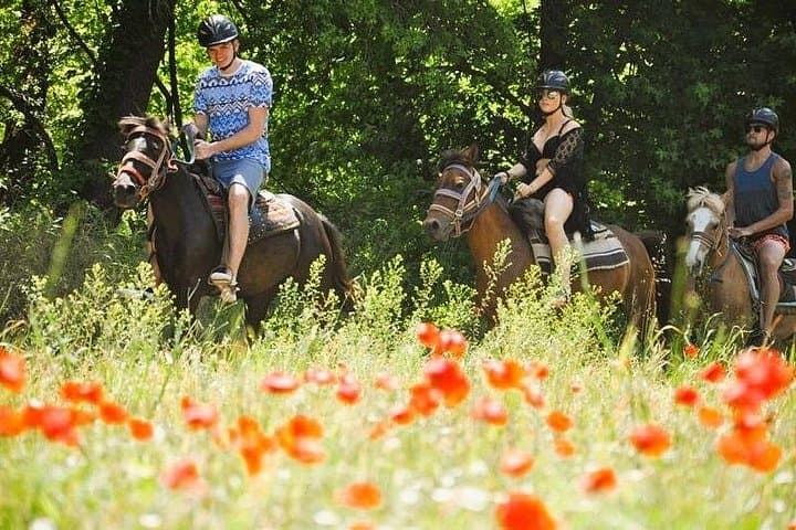 Marmaris Horse Safari in Çamlı Village — Pine Trails & Countryside Views photo 1