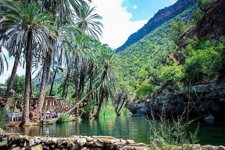 Paradise Valley Day Trip from Agadir: Natural Pools, Palm Oases & High Atlas Views photo 2