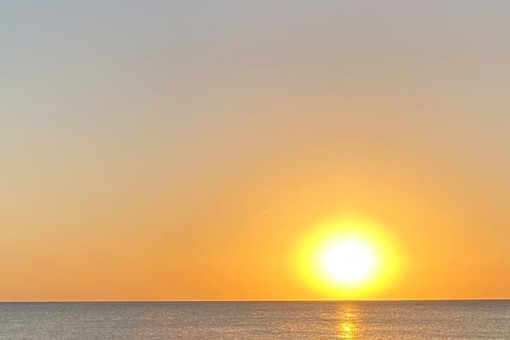Sunset Tiki Cruise and Dolphin Watching in Sarasota Bay photo 5