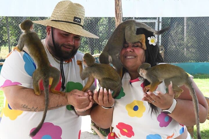 Squirrel Monkey Sanctuary Visit from Amber Cove — Ethical Encounters in Puerto Plata