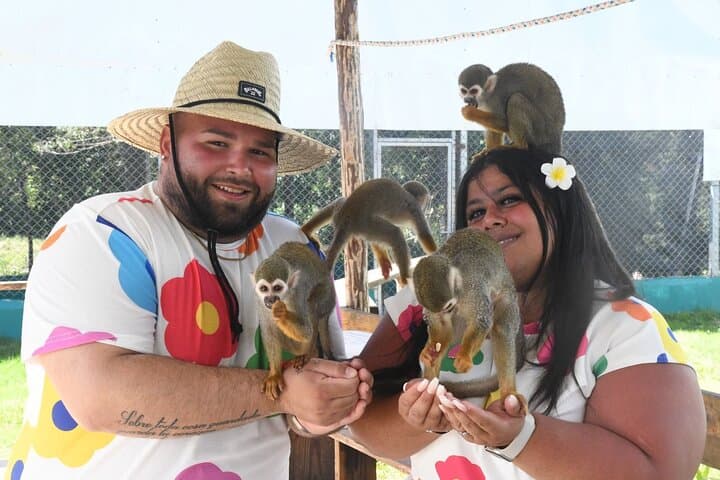 Squirrel Monkey Sanctuary Visit from Amber Cove — Ethical Encounters in Puerto Plata photo 6