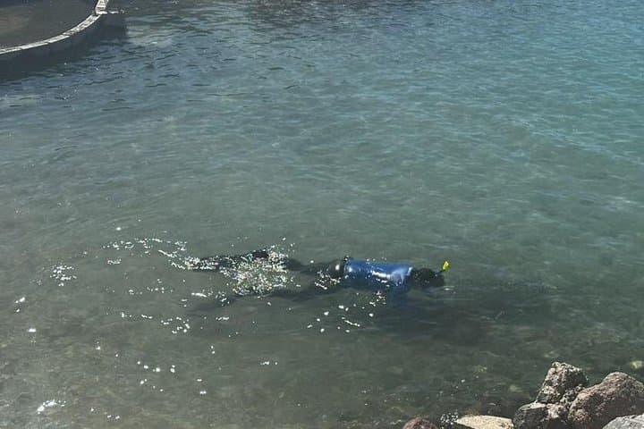 Coral Nursery Snorkeling in La Paz: Eco Adventure at Pichilingue photo 1