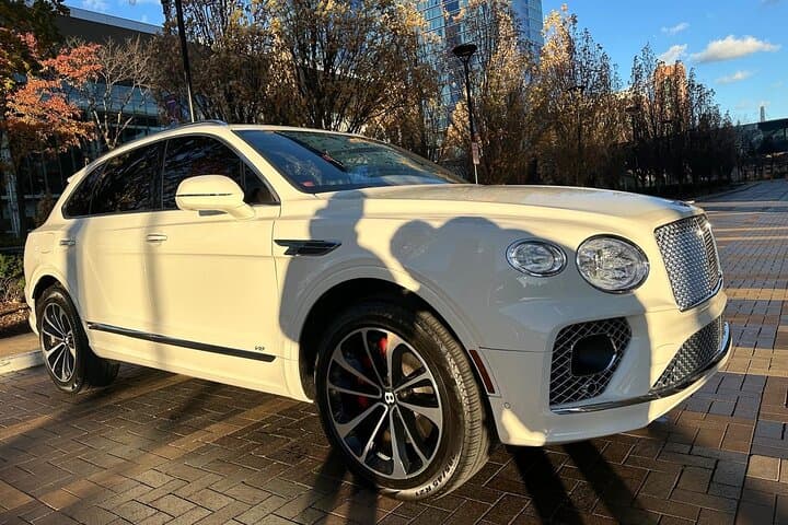 Chicago Exotic Auto Experience: Private Luxury Drive Through the Magnificent Mile