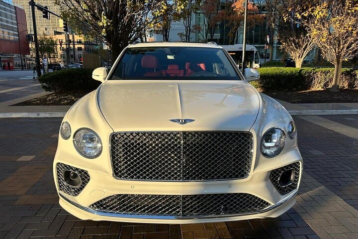 Chicago Exotic Auto Experience: Private Luxury Drive Through the Magnificent Mile photo 3