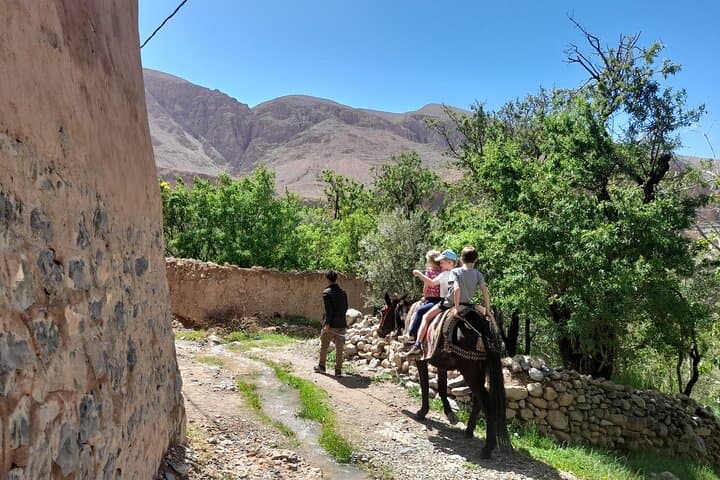 Monkey Fingers Canyon Hike — Guided Dades Gorge Cultural Trek photo 4