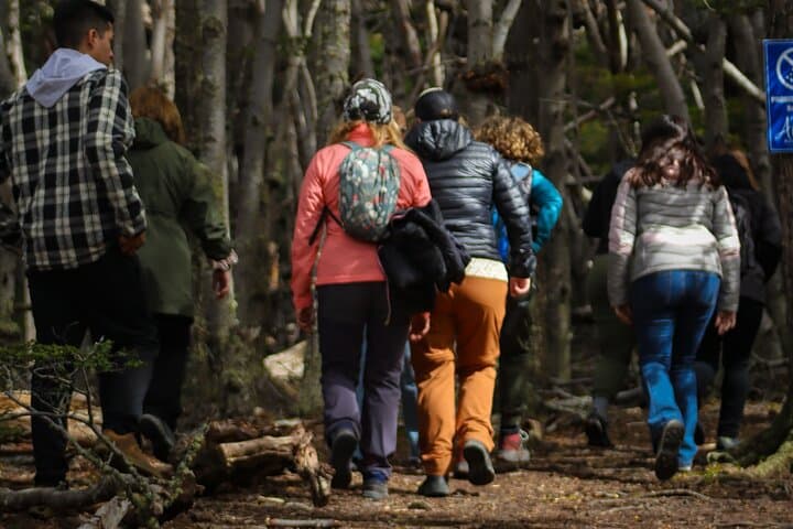 Puerto Almanza & Punta Paraná: Penguin Cruise, Lunch and Scenic Views from Ushuaia photo 6