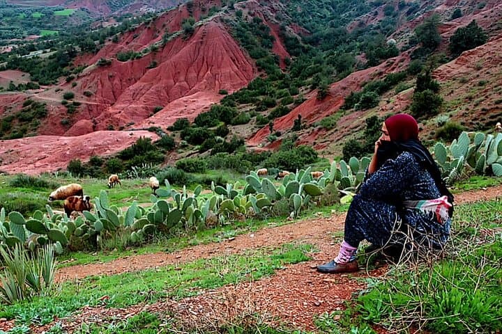 Zipline Over the Atlas: Morning Flight and Argan Breakfast from Marrakech photo 2