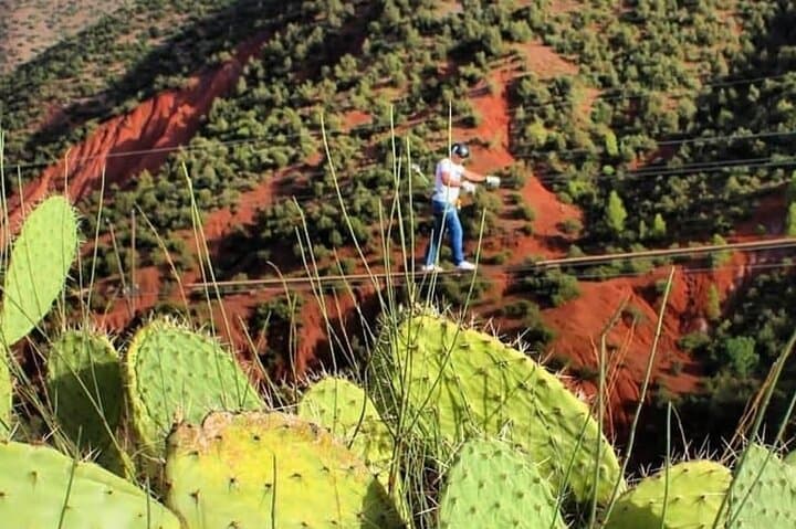 Zipline Over the Atlas: Morning Flight and Argan Breakfast from Marrakech photo 5