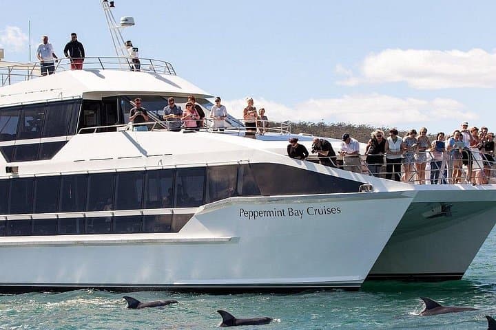 Cruise the River Derwent: Hobart Guided Catamaran to Iron Pot & Alum Cliffs photo 2