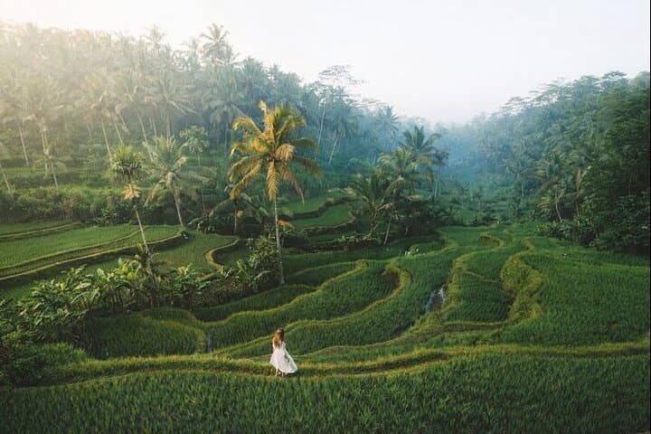 Custom Bali Private Tour: Flexible One- or Multi-Day Itineraries from Ubud to the Coast photo 3