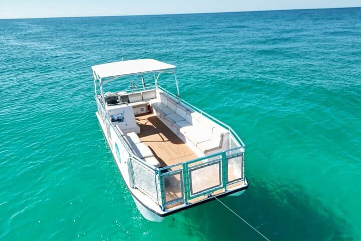 Dolphin Sightseeing & Shell Island Snorkel Tour — Panama City Beach Adventure photo 5
