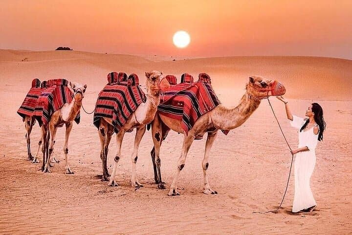 Morning Desert Safari Dubai: Dune Bashing, Quad Bikes & Camel Rides in Lahbab photo 2