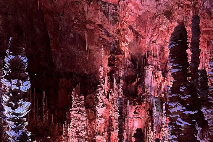 Waitomo Glowworm Caves and Hamilton Gardens Day Tour from Auckland photo 4