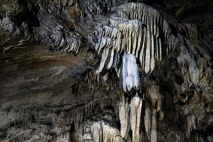 Waitomo Glowworm Caves and Hamilton Gardens Day Tour from Auckland photo 5