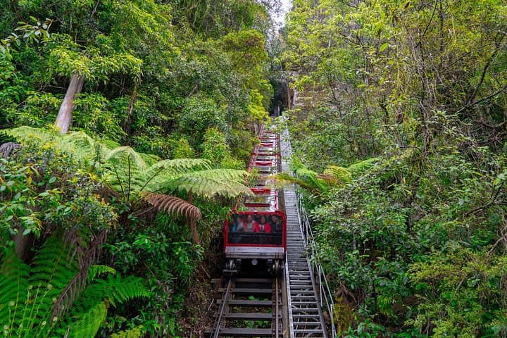 Blue Mountains Ultimate Day Trip: Scenic World, Three Sisters, Lincoln's Rock & Sydney Zoo photo 3
