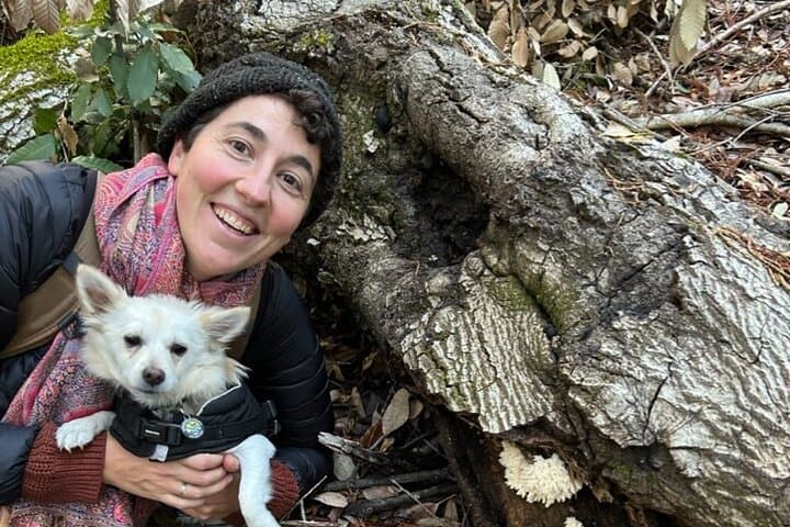 Santa Cruz Mushroom Foraging Workshop: Learn Identification, Ecology, and Sustainable Harvesting