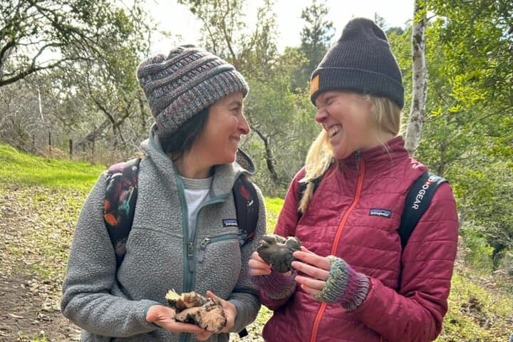 Santa Cruz Mushroom Foraging Workshop: Learn Identification, Ecology, and Sustainable Harvesting photo 2