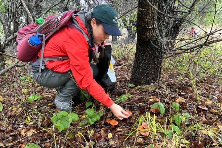 Santa Cruz Mushroom Foraging Workshop: Learn Identification, Ecology, and Sustainable Harvesting photo 3