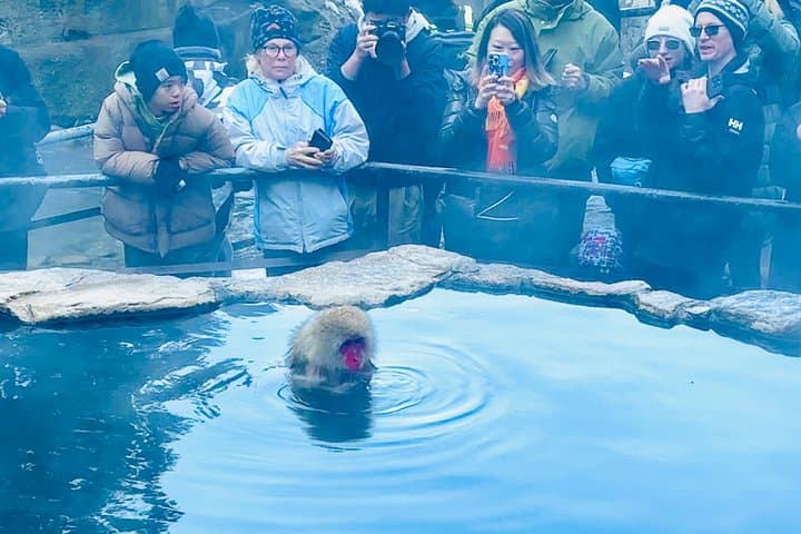 VIP Snow Monkeys & Hakuba Ski Day: Private Tour from Tokyo to Jigokudani photo 4