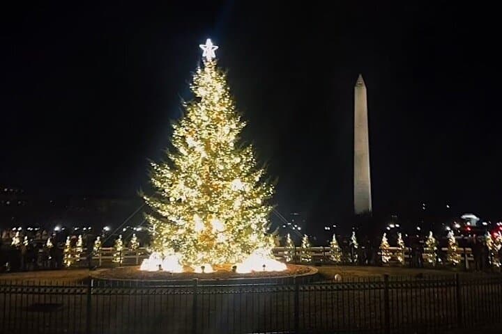 Private Day or Night Washington DC Tour: 10-Stop Monuments & Memorials Experience with Hotel Pickup
