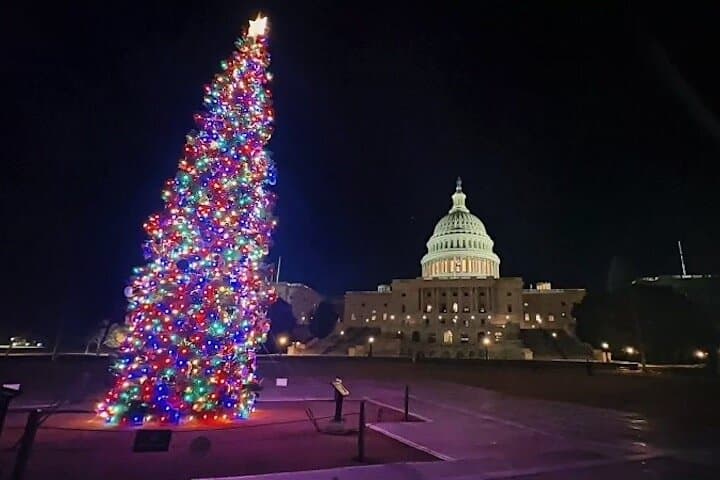 National Mall Night Tour: Monuments, Museums & Washington Monument Tickets photo 3