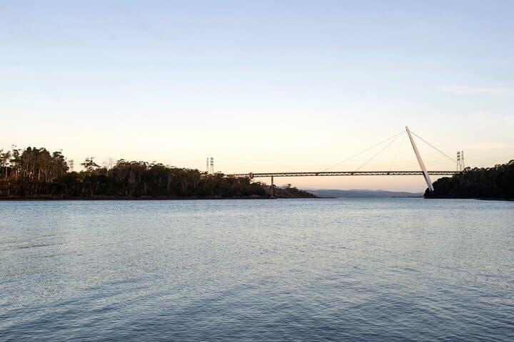Tamar Valley Day Tour: Wildlife, Berries & Beaconsfield Heritage