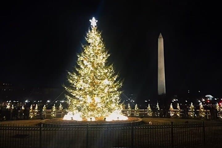 Washington DC Private 3-Hour Day or Night Tour — 10 Stops with Hotel Pickup photo 5