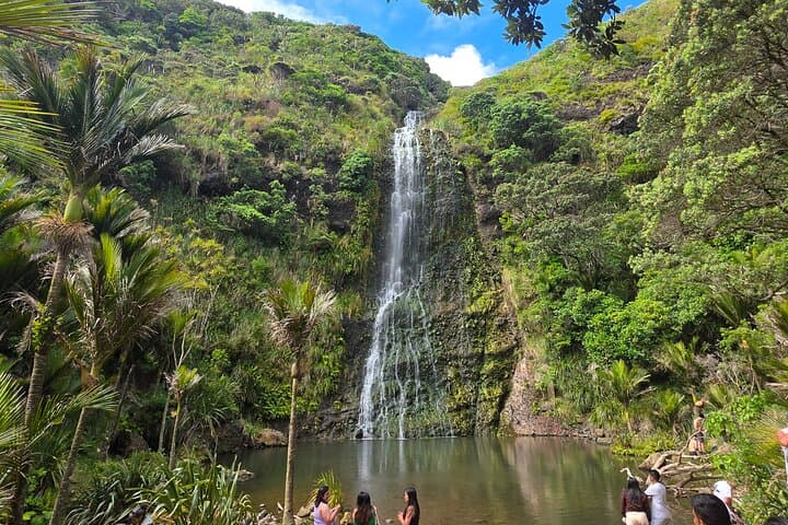 Private Auckland West Coast Tour: Piha Beach, Karekare Falls & Mercer Bay Loop photo 1