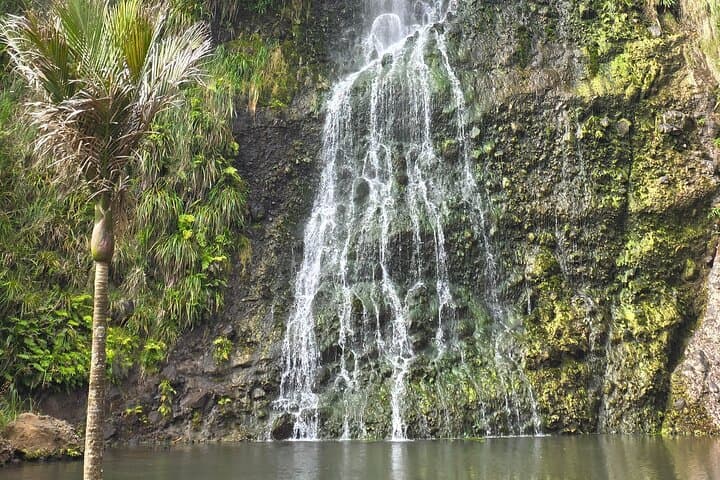 Private Auckland West Coast Tour: Piha Beach, Karekare Falls & Mercer Bay Loop photo 4