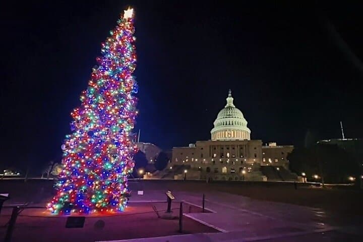 National Mall Night Tour: Holiday Lights & Iconic Monuments Bus Experience in Washington DC photo 4