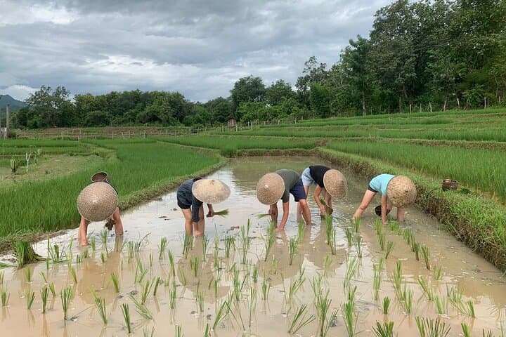 Khmu Village Hands-On Cultural Tour Near Luang Prabang photo 3