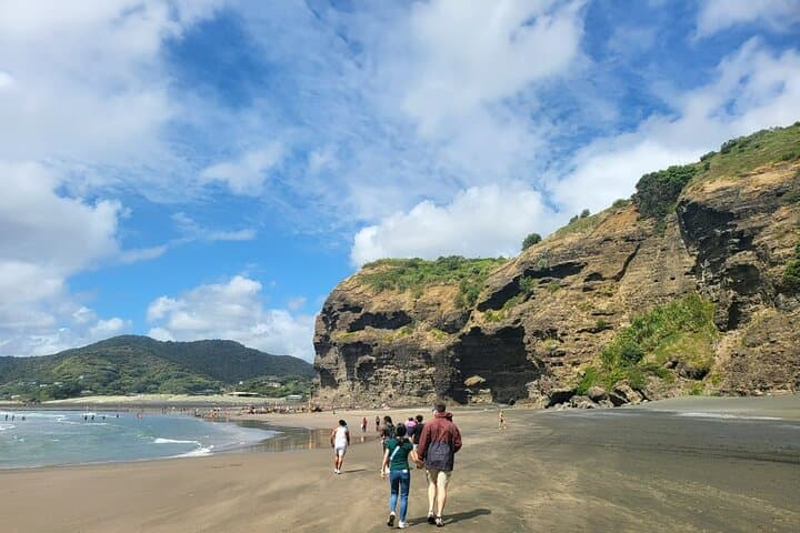 Private Auckland West Coast Tour — Karekare Falls, Rainforest & Piha Beach photo 3