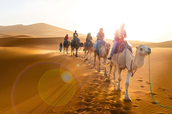 Merzouga Desert Excursion: 3-Day Camel Trek from Marrakech to Erg Chebbi photo 2