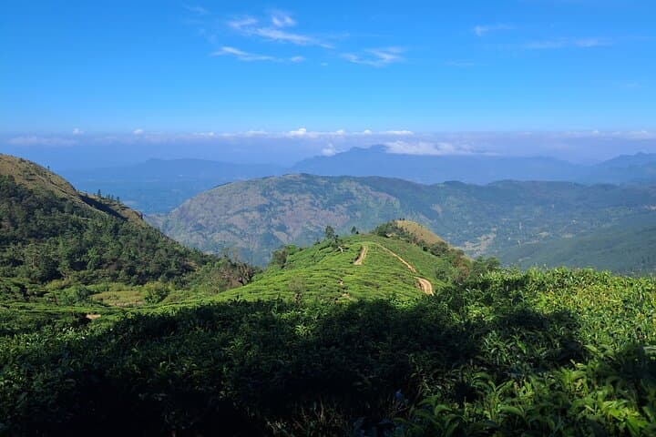 Baker's Dark Hunting Trail: 10 km Belihuloya Cloud-Forest Hike photo 3