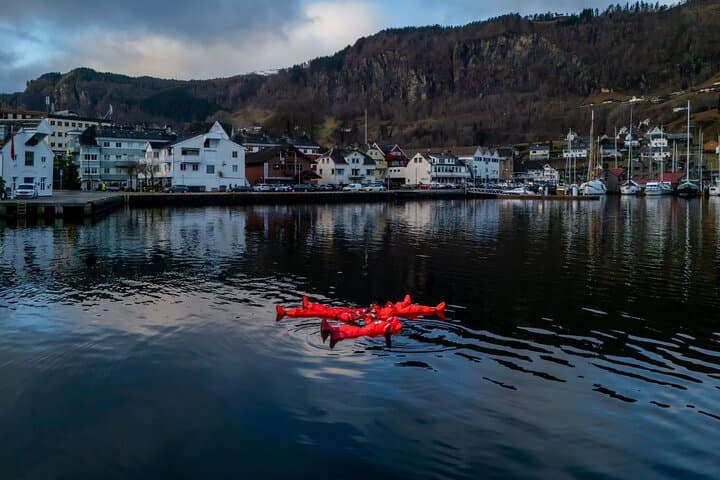 Winter Fjord Floating in Norheimsund: Immersion Suit Experience on Hardangerfjord photo 2