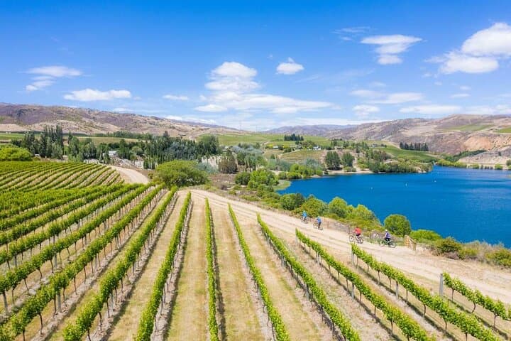 Ride and Wine: Central Otago E-Bike Adventure Through Bannockburn & Carrick Winery photo 3