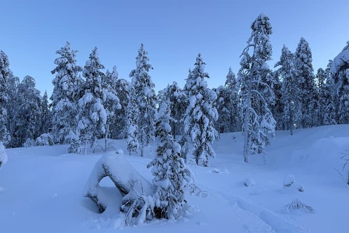 Snowshoeing Rykimäkuru: Private Luosto Snowshoe Tour with Campfire Meal