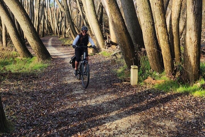Central Otago River Loop E-Bike: Clyde to Alexandra Rail & River Trail