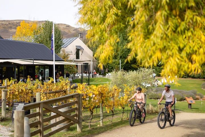 Ride and Wine: Central Otago E-Bike Adventure Through Bannockburn & Carrick Winery