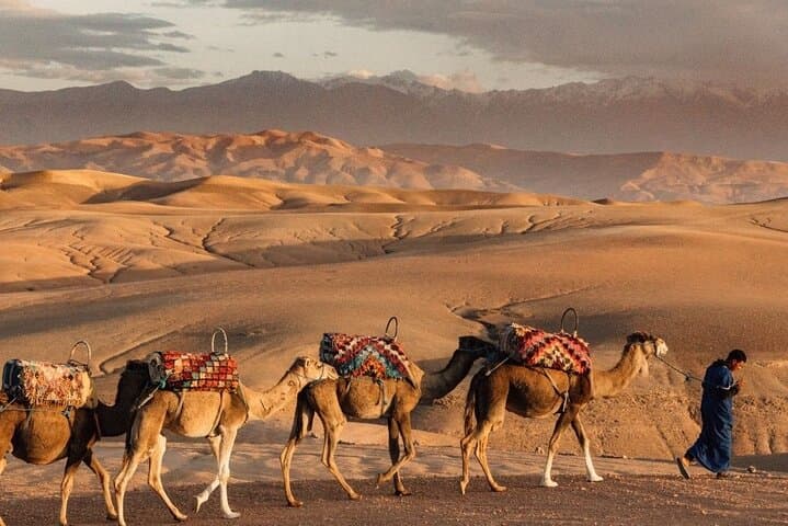 Agafay Desert Quad & Camel Sunset with Berber Dinner and Fire Show from Marrakech photo 5
