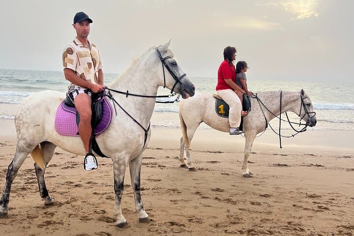 Horseback Riding Along Taghazout Bay: Half-Day Aourir Coastal Ride