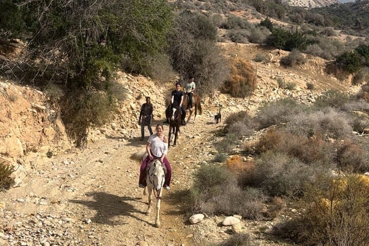 Horseback Riding Along Taghazout Bay: Half-Day Aourir Coastal Ride photo 4
